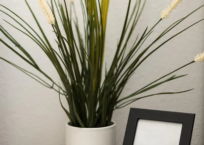 Apartment T' Giorgio *